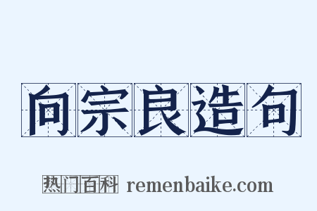 向宗良造句是什么意思的图片
